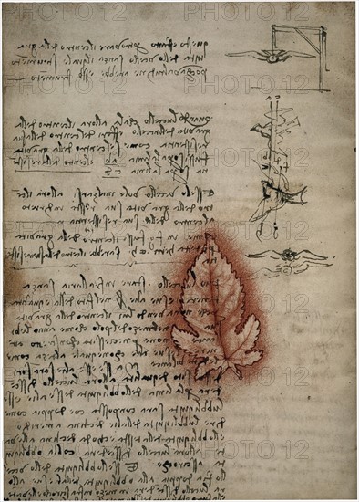 Codex on the Flight of Birds; circa 1505. By Leonardo da Vinci.