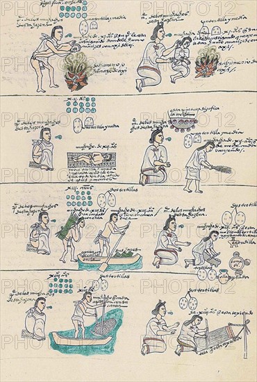The Codex Mendoza Aztec codex; 1553