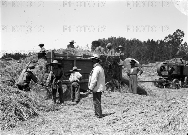 Photograph of an Israel Agricultural School