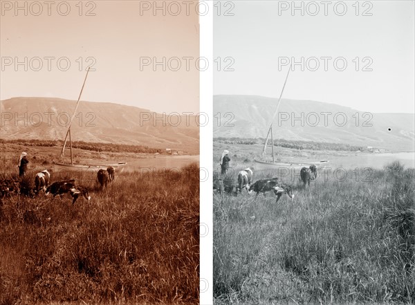 Stereograph of an Arab Farmer near the Dead Sea