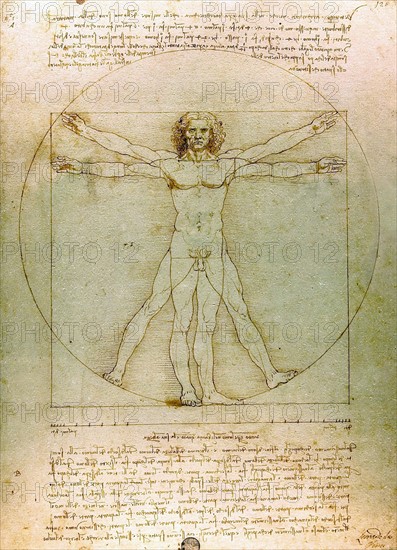 The Vitruvian Man