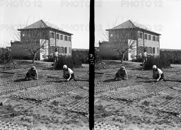 Photograph of Borochov Girls Farm