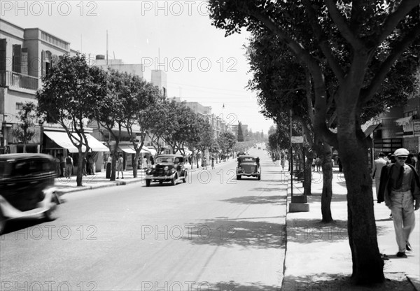 Photograph of Allenby Street in Tel Aviv