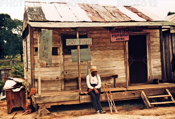 Marion Post Wolcott: Photograph of an American store with fish for sale