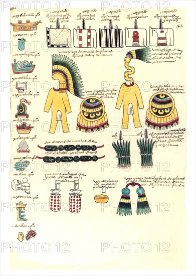 Folio from the Codex Mendoza