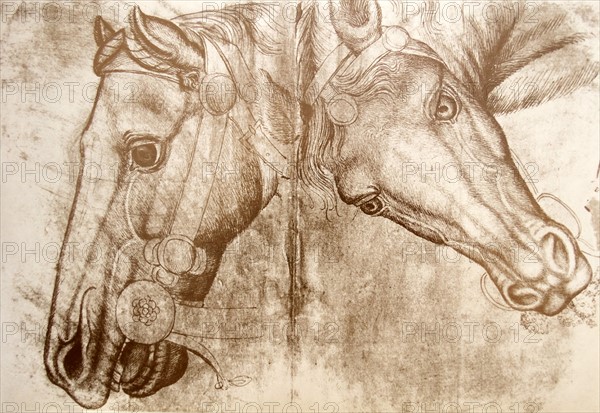 Sketch of a horses head possibly by Pisanello