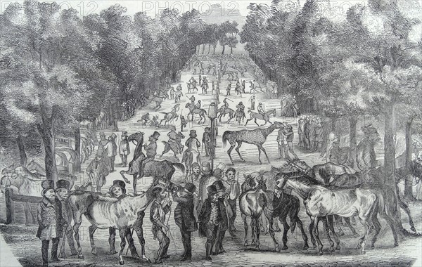 Illustration depicting the horse market in Paris