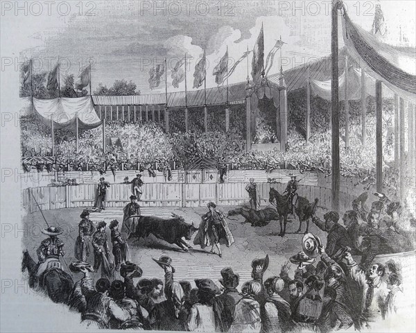 Illustration of Arjona Francisco Guillen during a bullfight