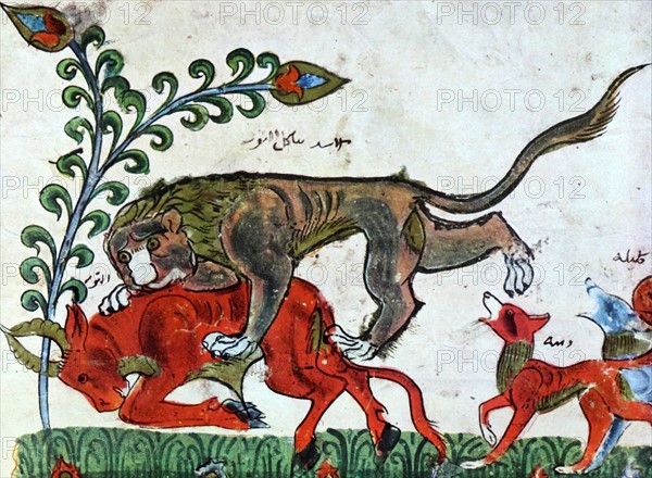 The Lion Pingalaka is one of the Panchatantra, an ancient Indian inter-related collection of animal fables