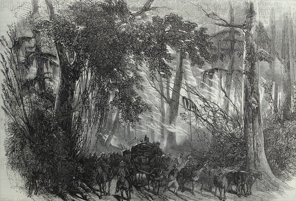 Engraving of a forest fire in Detroit (Michigan State) in America