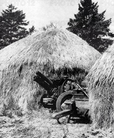 Photograph of an Australian soldier using a howitzer between the ricks in an English meadow