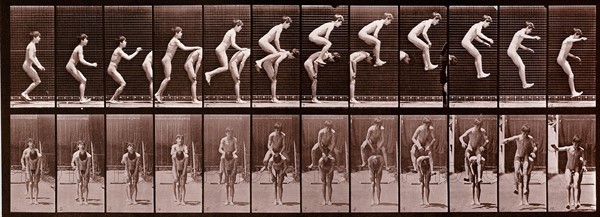 Animal Locomotion photograph by Eadweard Muybridge, 1887