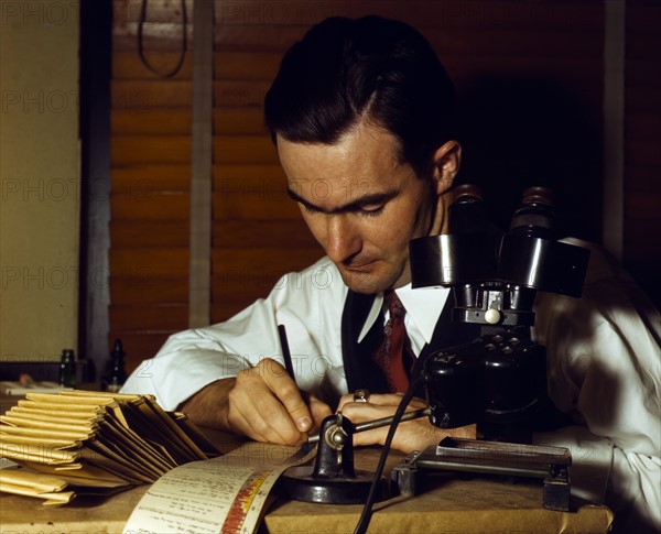 Geologist examining cuttings from wildcat well