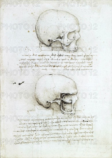 anatomical drawing of a skull with text by Leonardo Da Vinci