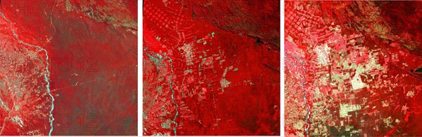 progression of deforestation in Bolivia from 1975 to 2000.