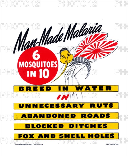 Public Health Poster for Malaria