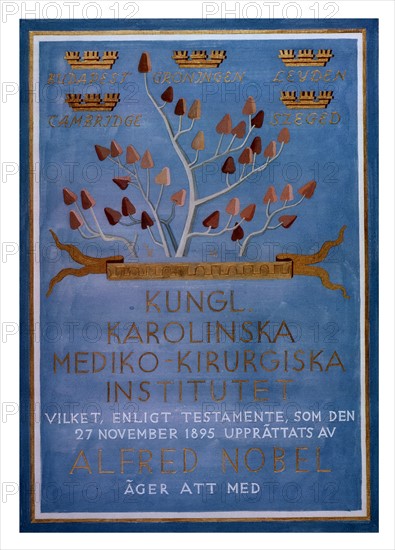 Colour photograph of Albert Szent-Gyorgyi's Nobel Prize Diploma