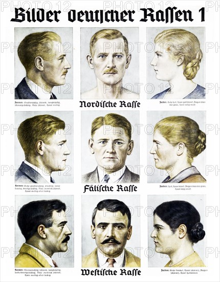 Nazi Party 'German Race' Wall chart