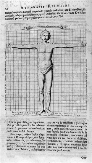 Illustration showing the proportions of man from Arca Noe,