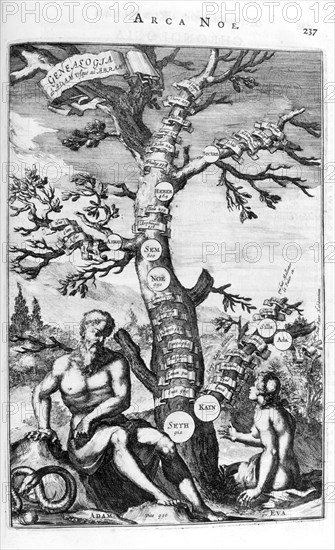 Family tree of Adam to Abraham; from Arca Noe,