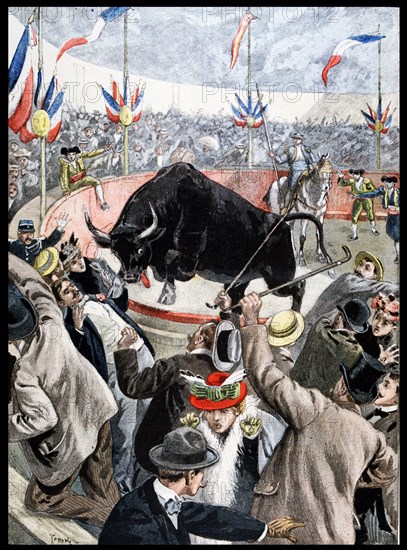 Bull escapes from a Bullring during bullfight in Paris, France 1899