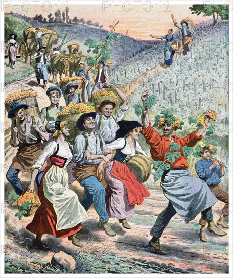 Illustration showing the wine festival and grape harvest in Alsace France 1911