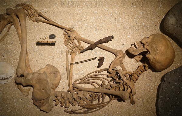 Grave site of an Icelandic man and his horse