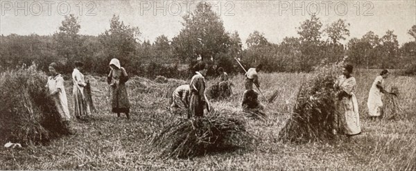 Photograph of female farm hands in Mosson, a commune in the Côte-d'Or department in eastern France
