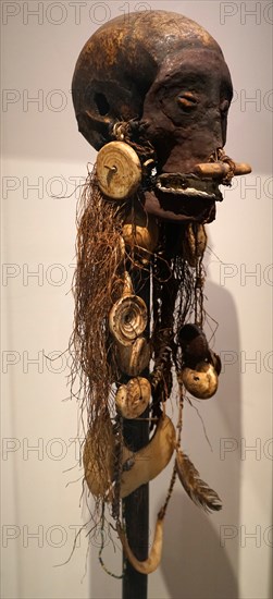 Enemy skull from Papua New Guinea