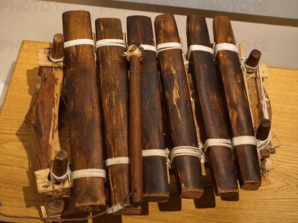 A Balafon, which is an instrument similar to a Xylophone, but it has gourds which make the sound resonate