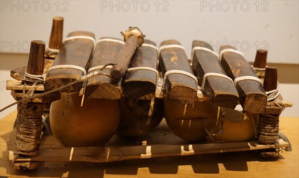 A Balafon, which is an instrument similar to a Xylophone, but it has gourds which make the sound resonate