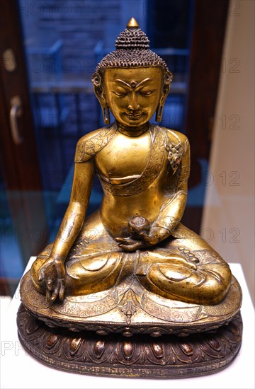 The Medicine Buddha