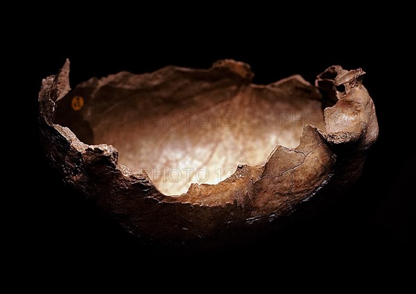 Skull cap of a male which has cannibalised marks found at Gough's Cave, England