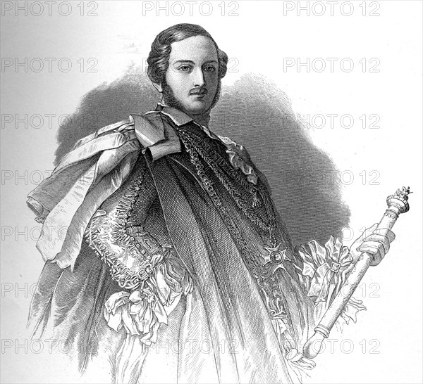 Portrait of Albert, Prince Consort