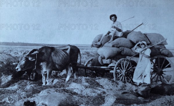 Jewish pioneer settlers in Hadera,