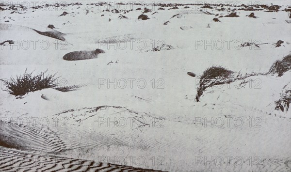 1908 photograph of sands on the site of the city of Tel Aviv in Israel was founded in Ottoman ruled Palatine in 1909