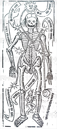 The organs of the body and the planets influences on them by Robert Fludd