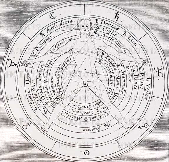 The organs of the body and the planets influences on them by Robert Fludd