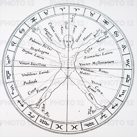 The organs of the body and the zodiacal influences on them by Robert Fludd