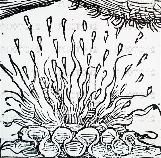 Engraving depicting an aurora during the 7th Century from the from the Nuremburg Chronicle by Hartmann Schedel