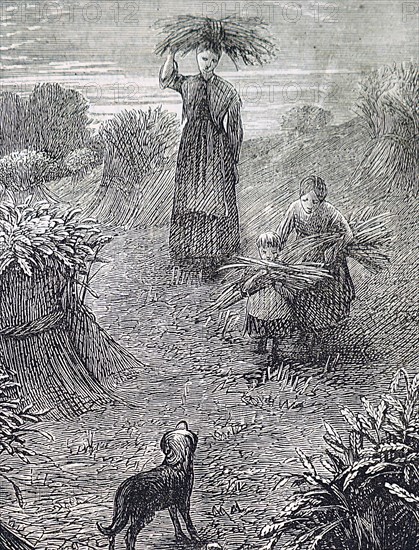 Gleaners