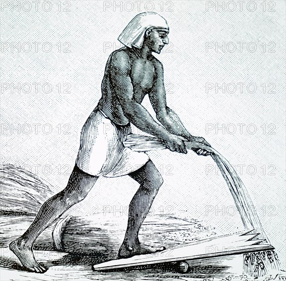 Engraving depicting an ancient Egyptian using a threshing board