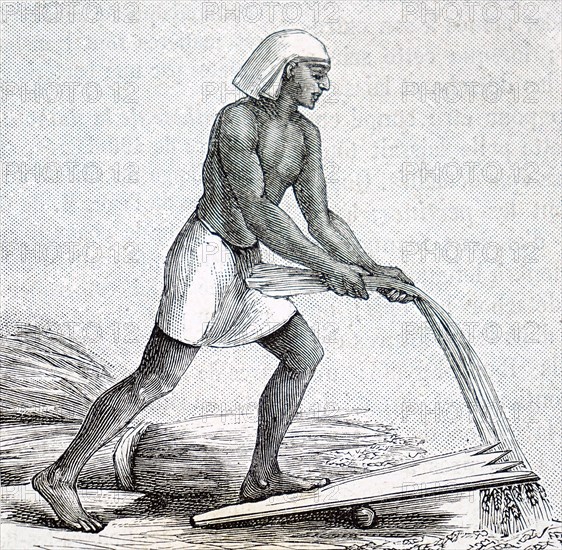 Engraving depicting an ancient Egyptian using a threshing board