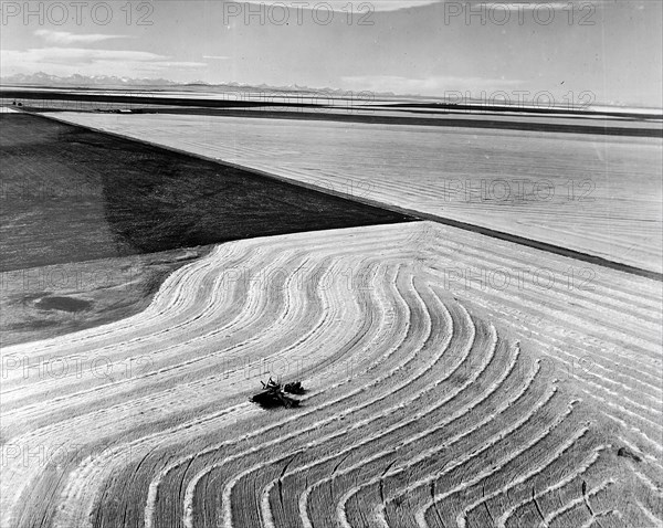 Photograph depicting wheat fields in Alberta with the Rocky Mountains in the background