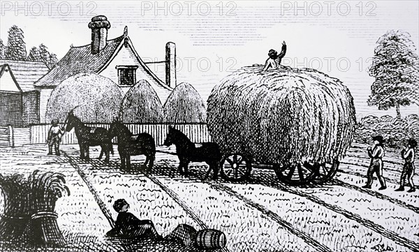 A cart load of wheat being transported