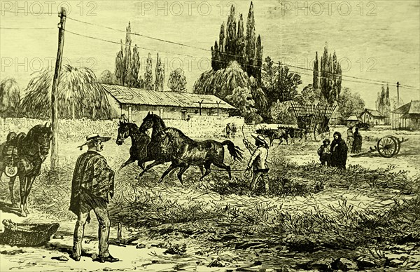 Engraving depicts threshing with horses in Spain