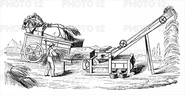 A threshing machine and straw elevator operated by horses