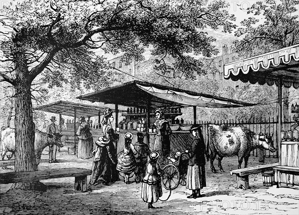 Milk vendors in Spring Gardens, St James's Park, London