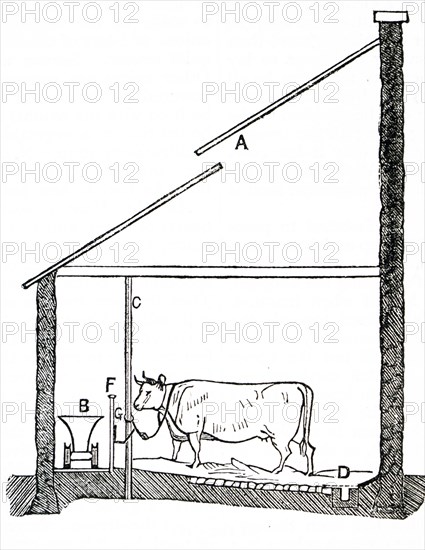 A diagram of a cow house in England