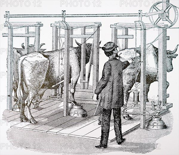 Colvin'S hydraulic milking machine: corrugated rubber suction cups were placed over the teats